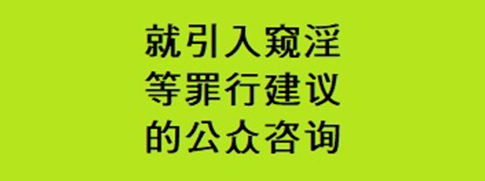 就引入窥淫、私密窥视、未经同意下拍摄私密处及相关罪行的建议公众咨询