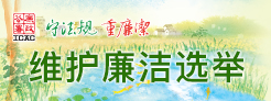 维护廉洁选举